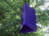A purple trap used to attract and trap the EAB, courtesy City of Northfield, MN