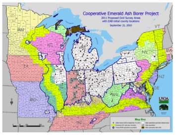 Quarantine area for EAB