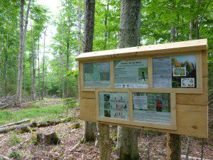 forestryforbirdssign2