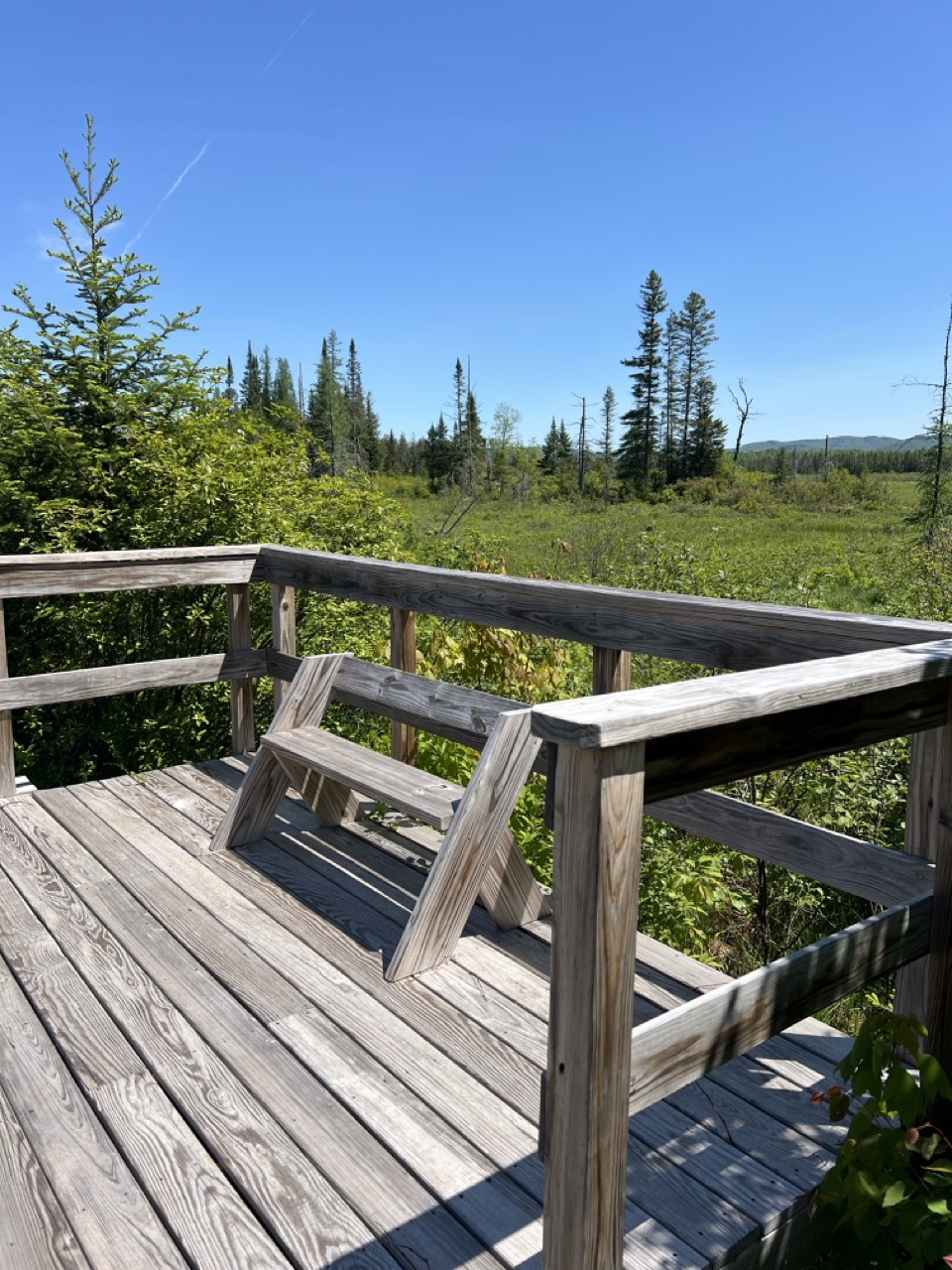Wooden viewing platform overlooking Victory Bog.