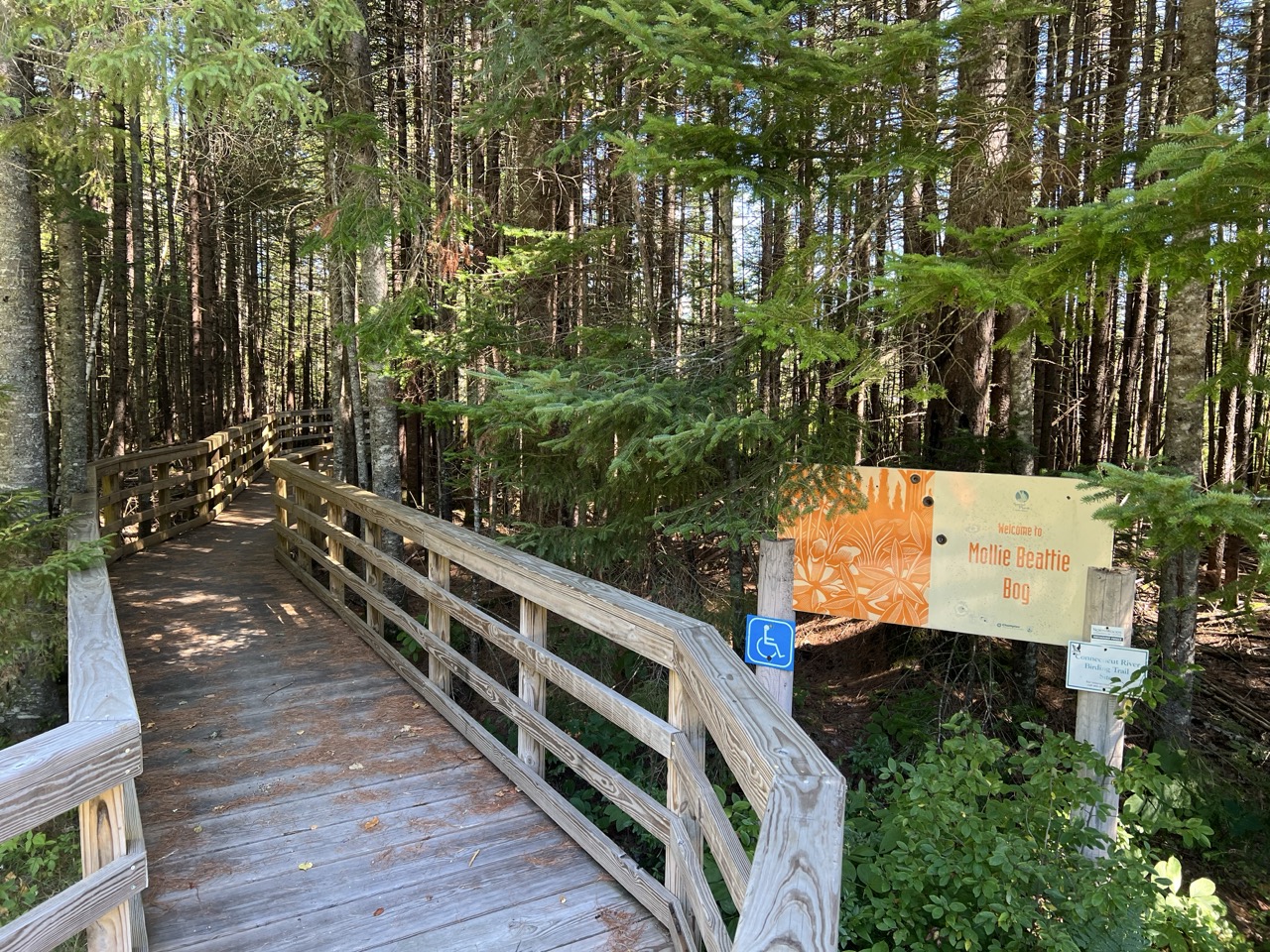 Wooden boardwalk next to sign that says: Mollie Beattie Bog.
