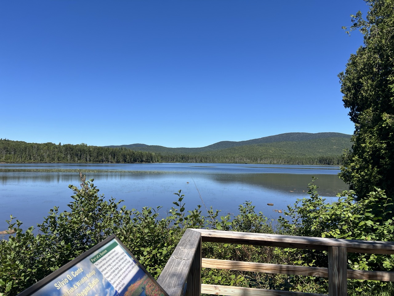 View of Lewis Pond with mountains in distance.
