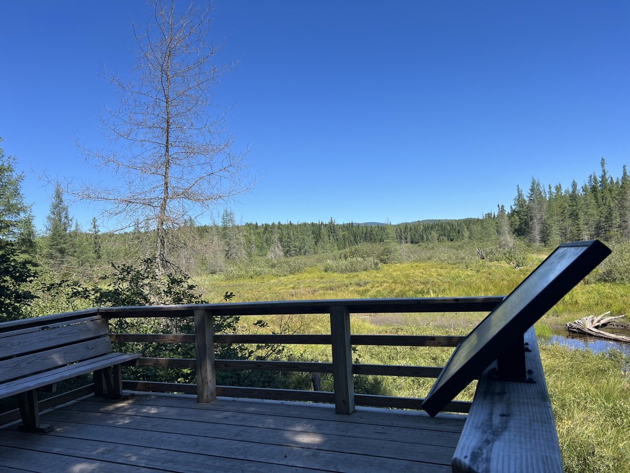 Wooden viewing platform with bench and sign, overlooking wetland.