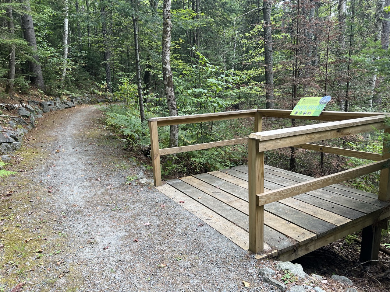 Wooden viewing platform with interpretive panel next to trail.