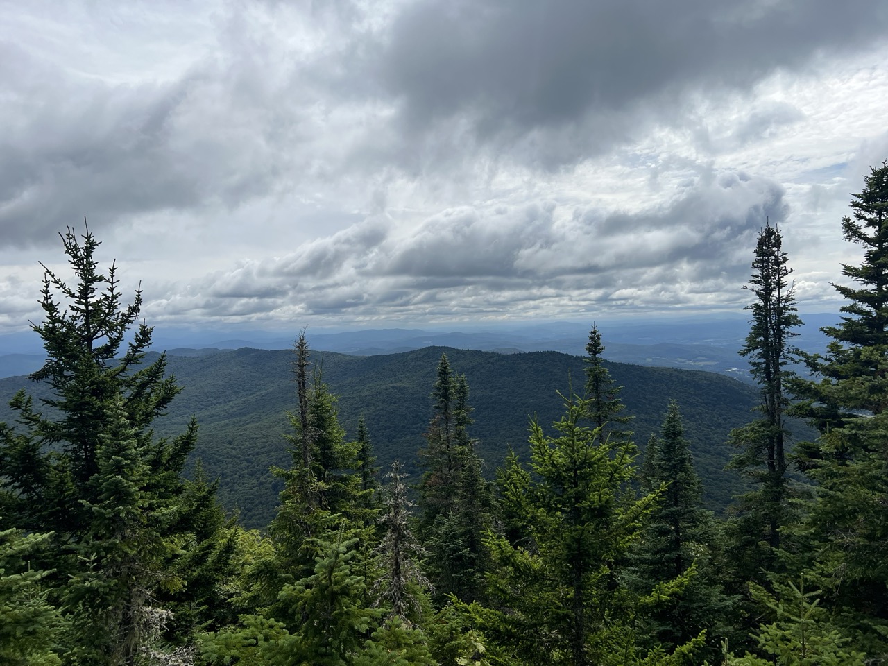 Image of cloudy sky and distant forested mountain peaks with small mountain evergreens in the foreground.
