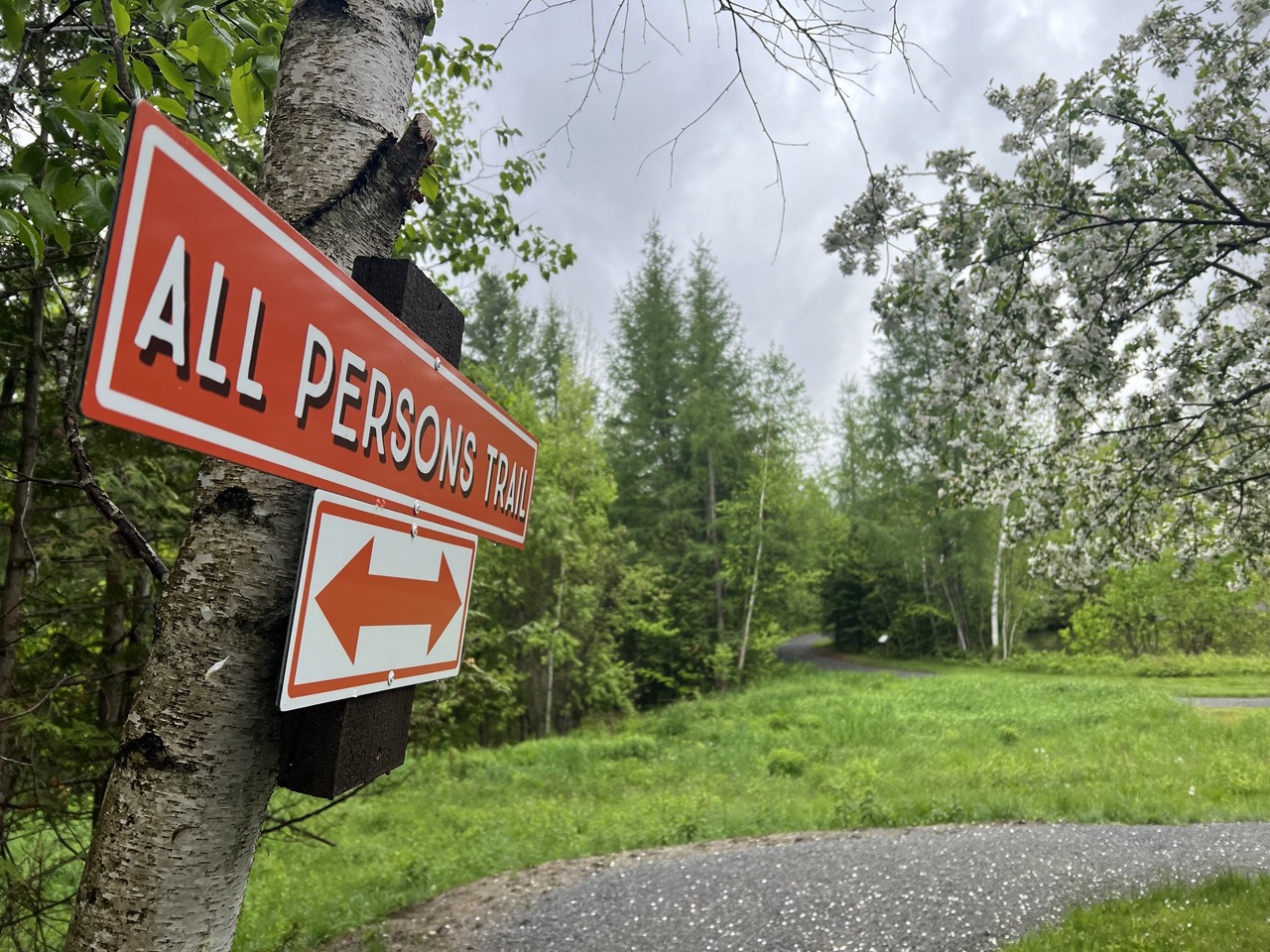 A flowering tree next to trail and sign that says: All Persons Trail.