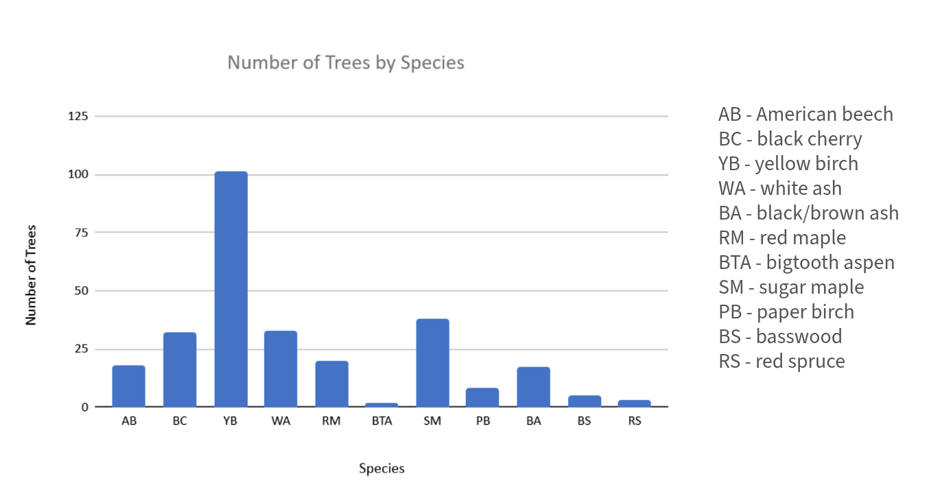 A bar graph showing the number of tree species at the treatment site. Yellow birch is notably high.